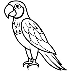 One-Line Macaw Vector Illustration