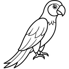 One-Line Macaw Vector Illustration