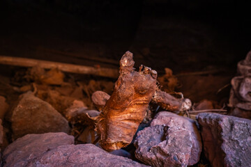 Unidentified mummified remains preserved near Bet Giyorgis rock-hewn church in Lalibela, Ethiopia