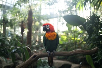 Obraz premium Colorful macaw perched on a branch in a tropical indoor garden setting with vibrant greenery