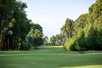 golf course in a golf course