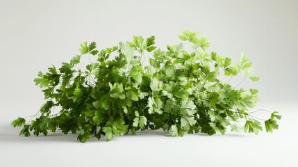 Obraz premium A bunch of green herbs are growing on a white background