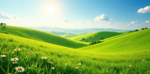 Obraz premium Rolling hills, sun-drenched grass, scattered daisies , flower, high resolution, blossom