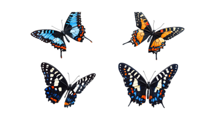 Pack Butterflies Flutter Set Against Transparent Background for Nature Graphics, Wildlife Branding, or Decorative Illustration Projects