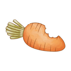 bitten carrot watercolor painting