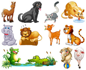 Toon-Style Animal Characters Set – Cute & Playful Animals for Animation (EPS)