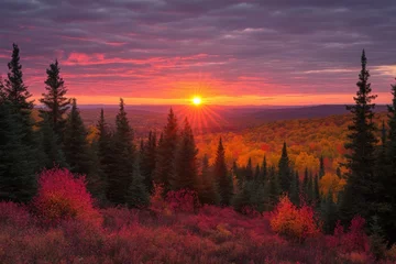 Selbstklebende Fototapeten Vibrant autumn sunset over a forested landscape in a rural area © ChaoticMind
