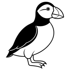 One-Line Puffin Vector Illustration