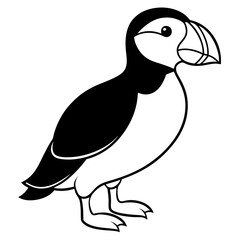 One-Line Puffin Vector Illustration
