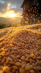 Obraz premium A beautiful pile of sunflower seeds showcasing their natural beauty with a rustic rice mill at sunset in the background