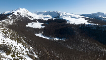 Aerial view of a forest with dry trees. It is a sunny winter morning and there is a lot of snow on the mountain. © Stefano Tammaro