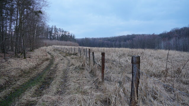 bohemian forest and fields in the winter and spring
