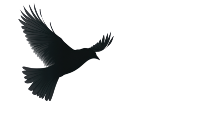 vector illustration of an eagle