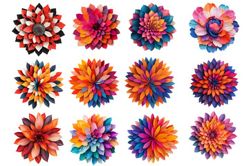 Fototapeta premium Colorful floral designs featuring vibrant petals in various arrangements and styles, showcasing range of hues and textures