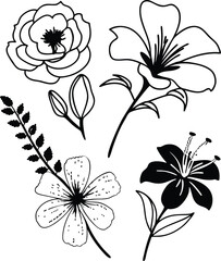Elegant Hand-Drawn Flowers and Leaves Collection