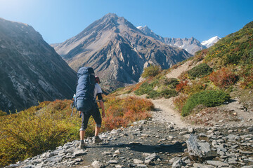 Naklejka premium Hiker with backpack walks along mountain path alone enjoying an outdoor activity in Himalayas, Nepal.