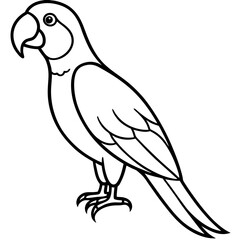 Single Line Parrot Vector Art