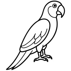 Single Line Parrot Vector Art