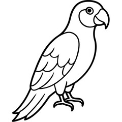 Single Line Parrot Vector Art