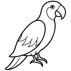 Single Line Parrot Vector Art