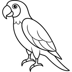 Single Line Parrot Vector Art