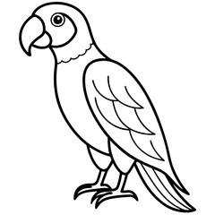 Single Line Parrot Vector Art