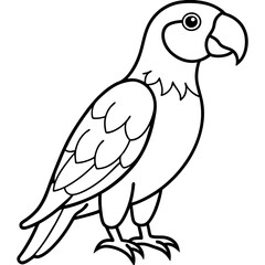 Single Line Parrot Vector Art