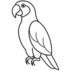 Single Line Parrot Vector Art