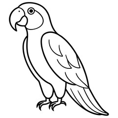 Single Line Parrot Vector Art