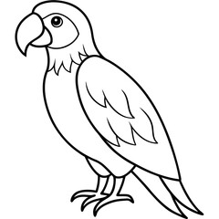 Single Line Parrot Vector Art