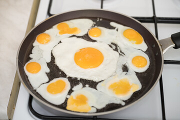 Chicken egg and 9 quail eggs in frying pan.