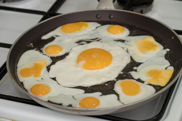 Chicken egg and 9 quail eggs in frying pan.