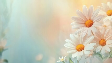 Vibrant watercolor depiction of daisies against an abstract spring background bringing forth a sense of renewal and beauty