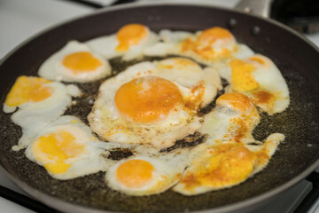 Chicken egg and 9 quail eggs in frying pan.