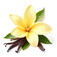 Obraz premium Vanilla flower with pods, rich brown texture, soft petals, green leaves, isolated background