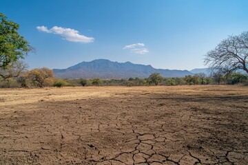 Dry cracked earth savanna landscape with distant mountains