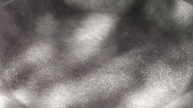 Leather surface smoothly transforming, creating intricate shadow and light interplay, revealing rich texture and fluid flexibility against soft gray background