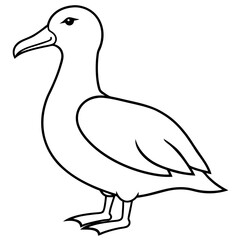 Sleek Albatross Outline in Vector Design