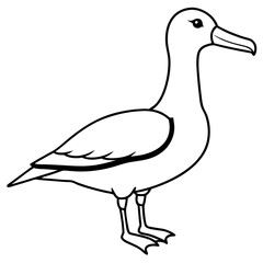 Sleek Albatross Outline in Vector Design