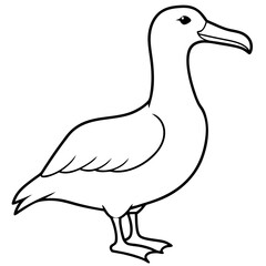Sleek Albatross Outline in Vector Design