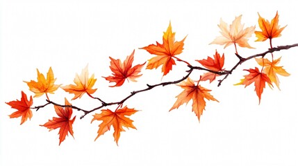 Fototapeta premium Vibrant Maple Leaves Branch in Autumnal Splendor: Nature Stock Photo High Resolution.