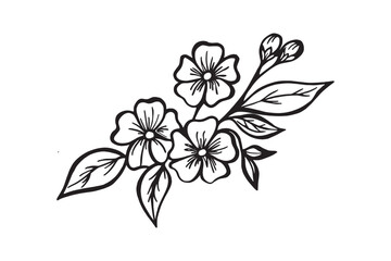 vector illustration of a flower