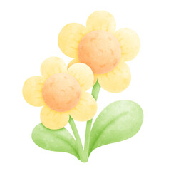 yellow rose on white background