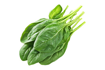 Vibrant baby spinach leaves isolated on white transparent background. Perfect for culinary uses