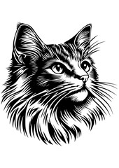 Obraz premium Cat illustration, Cute vector animal pet, Gift idea, printable, engrave laser, digital prints, Kitten Design, vector illustration, tattoo sketch, cricut, sublimation, logotype design