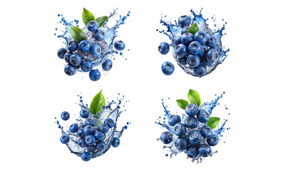 Blueberry berries isolated, a set of blueberry collections isolated on a white background