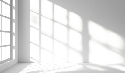 Abstract Window Light and Shadow on a White Wall in white & transparent