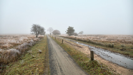 Frosty bicycle path and dirt road in misty winter at Dwingelderveld