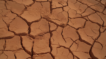 Dry cracked earth surface showing signs of drought and arid conditions