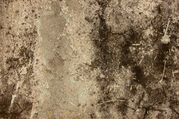 green mold on concrete wall. Wall texture